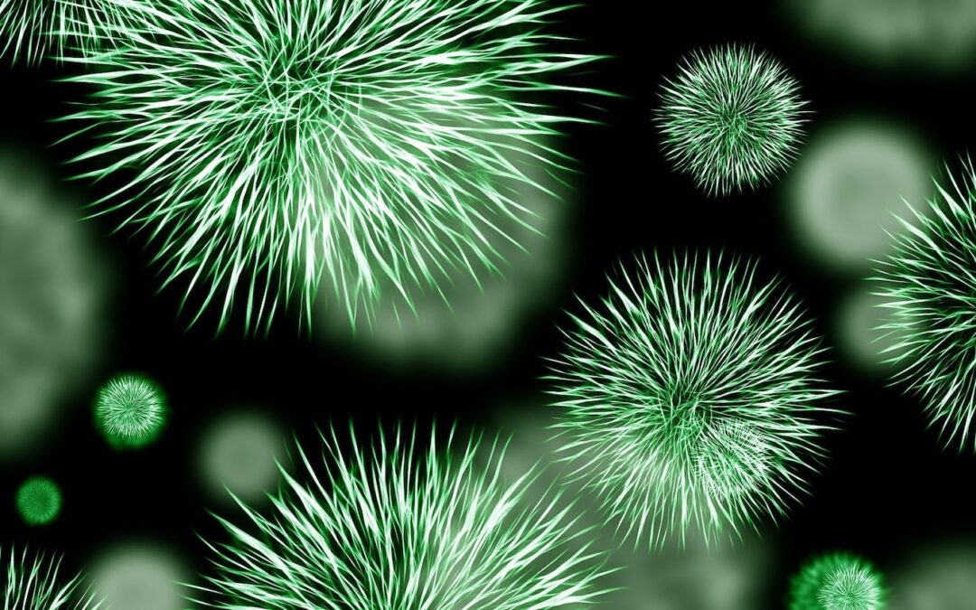 The battle against bacteria