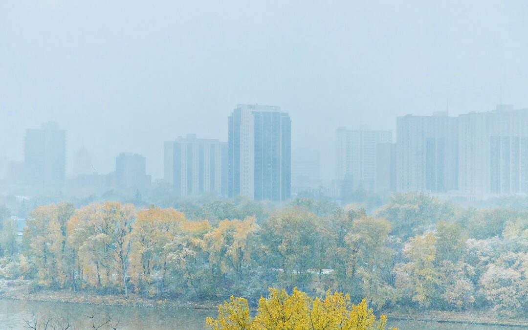 Celebrating mental health and wellness