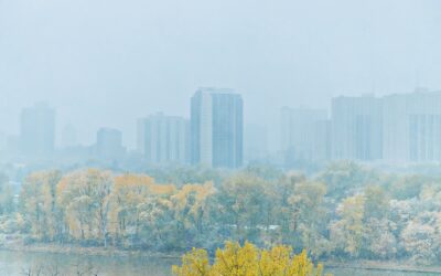 Celebrating mental health and wellness