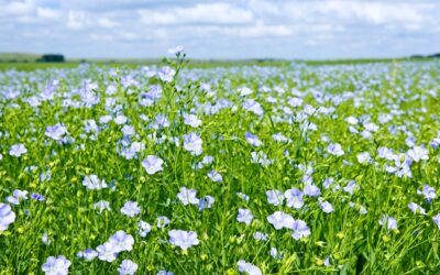 On the Highway to Health