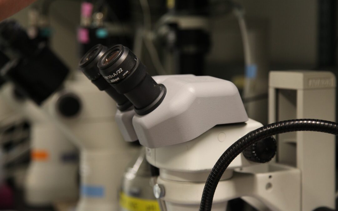 A heart disease breakthrough