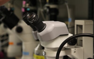 A heart disease breakthrough