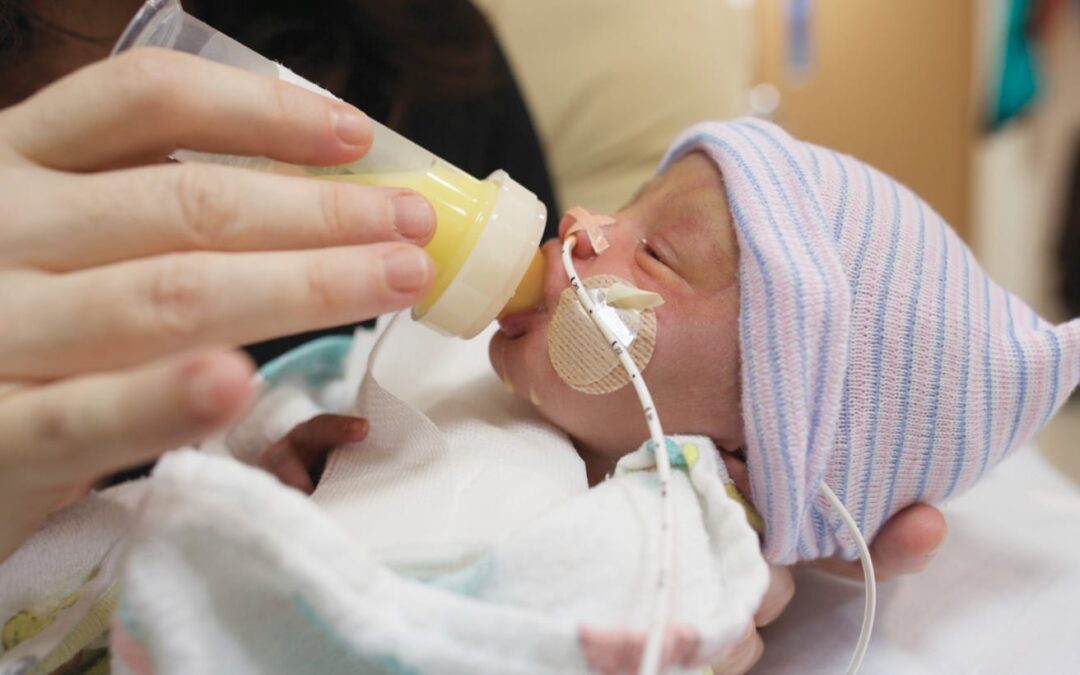 Nourrir la réussite