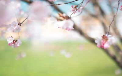 Donor gratefully shares inspirational poems