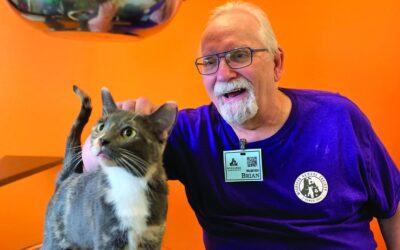 Après cinq ans, encore du temps pour ce qui est important