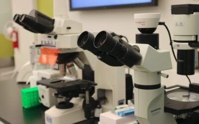 La santé au creux du ventre