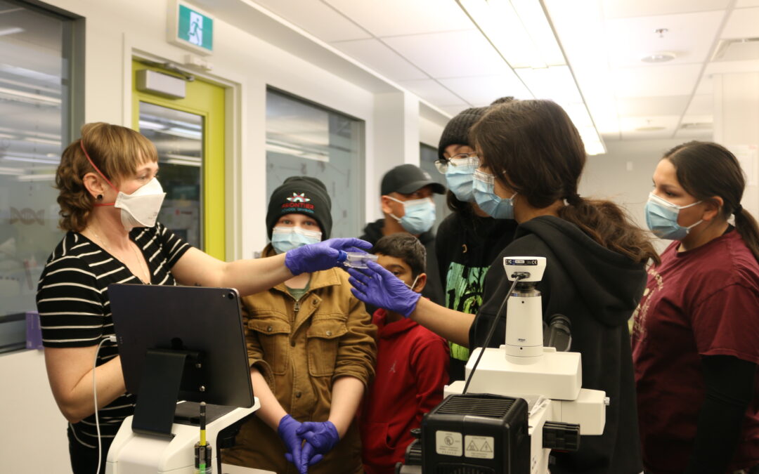 La longue route de la découverte