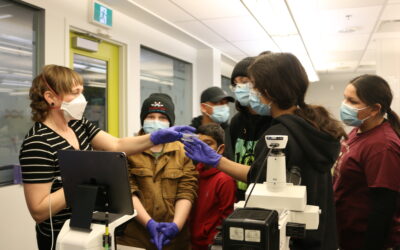 The Long Road to Discovery